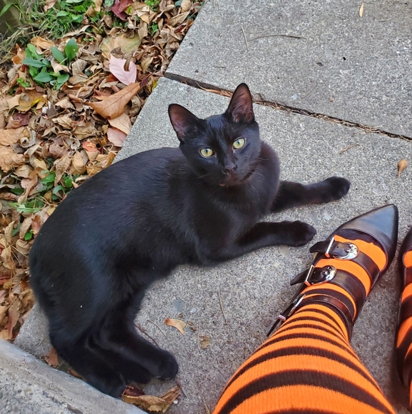 Meet your Posher, Casey - Picture 1 of 1